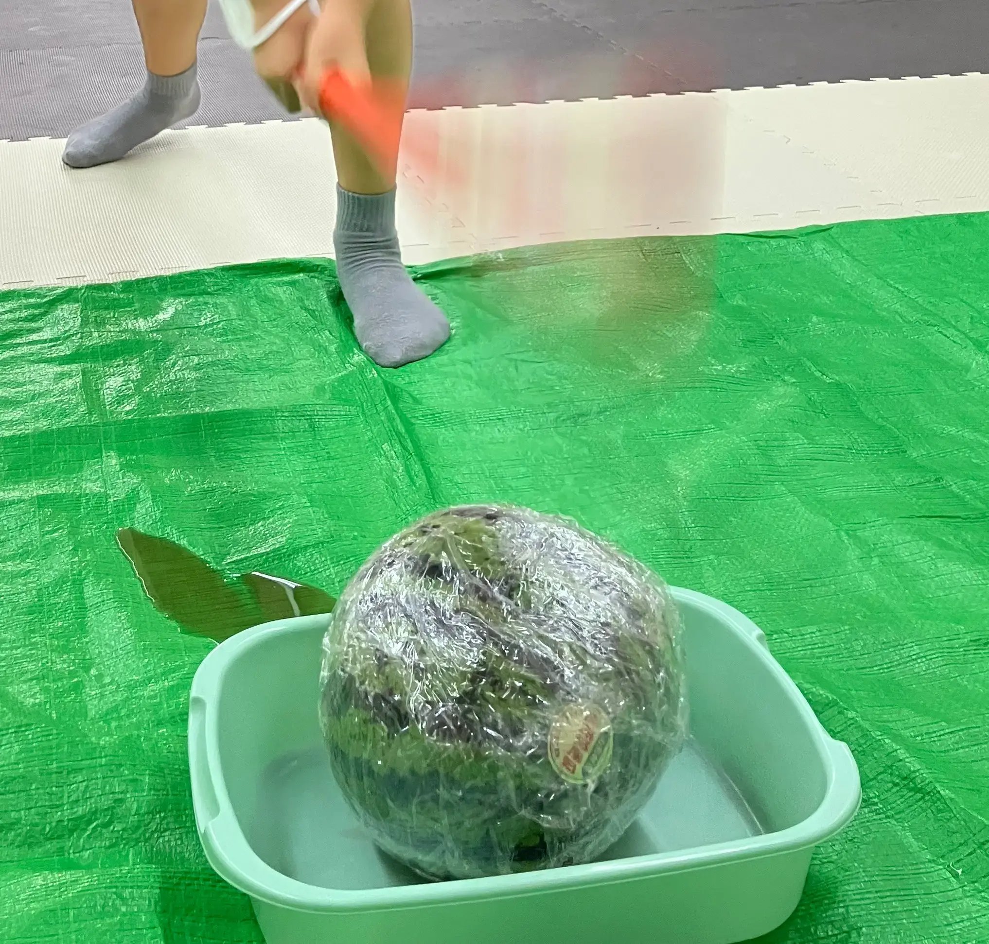 大きなスイカをおもちゃのバットで割っている様子①